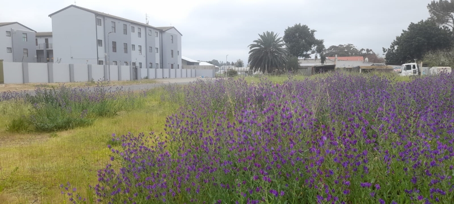  Bedroom Property for Sale in Moorreesburg Western Cape